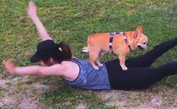 Jovem faz vídeo a mostrar como pode treinar com o seu amigo de 4 patas