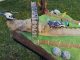 Português cria cenário em miniatura do salto de rali de Fafe