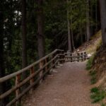 Descubra os Melhores Trilhos para Caminhada em Portugal