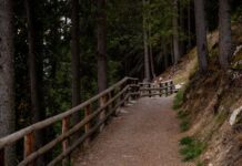 Trilhos para Iniciantes: Descubra rotas imperdíveis Scenic forest trail with a wooden fence, perfect for hiking and exploring nature.