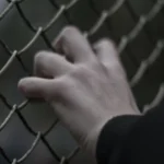 fws-slide-13-1775391473