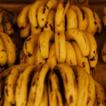 fws-slide-6-1775034229