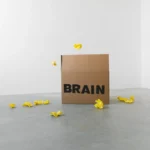 fws-slide-7-1775034401