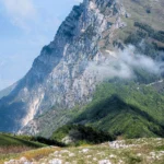 fws-slide-8-1775034236