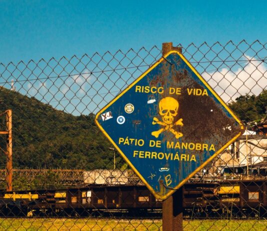 Risco de hantavirus no desporto: O que importa saber para treinar e competir com mais segurança